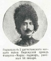Каджар Фейзулла Мирза . Нива 1905.jpg